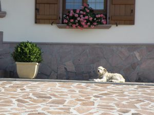 Aplacado en piedra verde Osona - Osonazko harri berdezko aplakatua